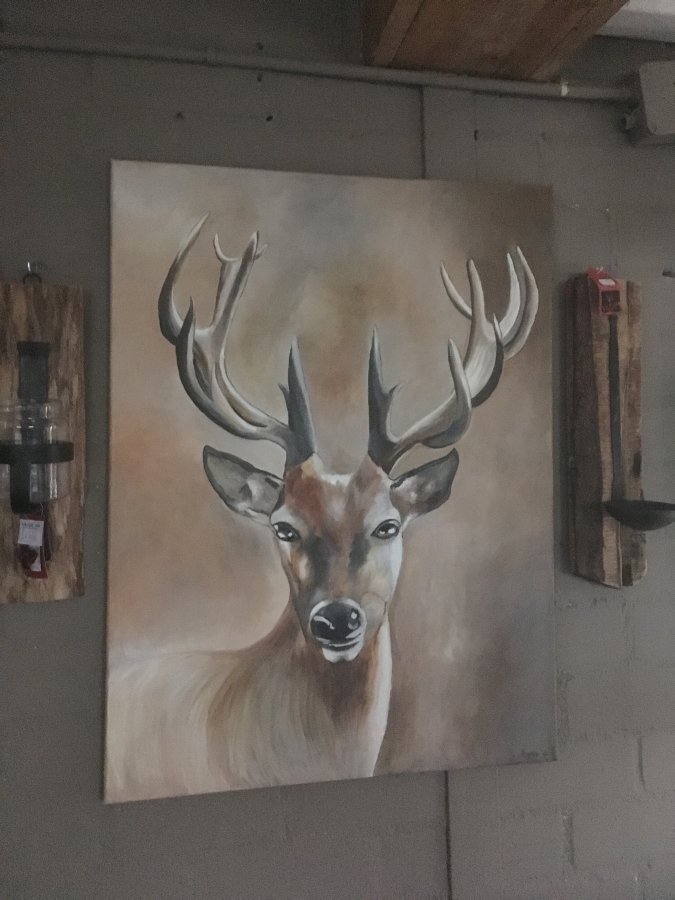 Olieverf schilderijen